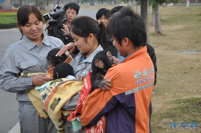 小金刚过冬也时尚,逛商场派头大,多图杀猫
