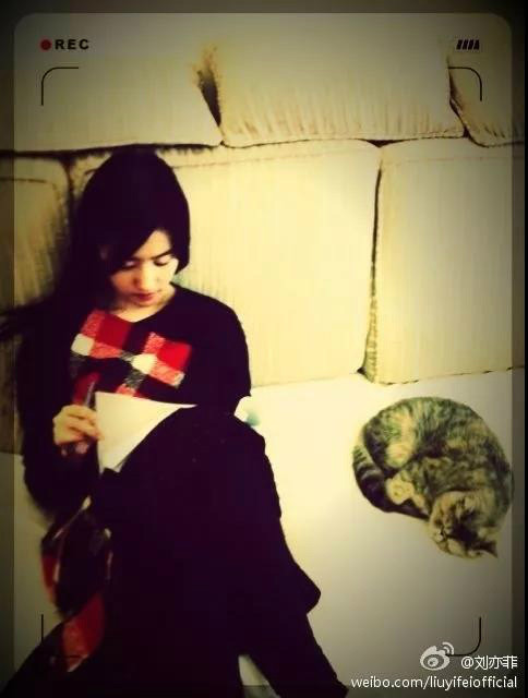 【皇家爱情嫁衣馆】婚纱礼服 | 仙女的闺蜜,结婚