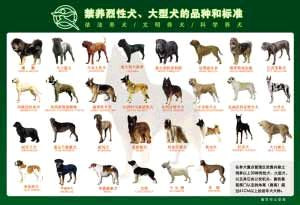 南京养犬条例下月施行 重点片区禁养30种狗(图)~~~红色预警`