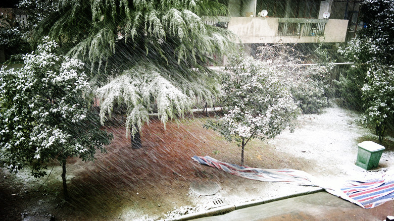 庆祝新北区开始下雪了!蛮大的。明天可以打雪