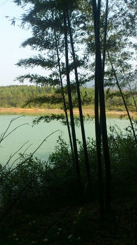 与老公宜兴挖笋农家乐一日游!每到春天的时候