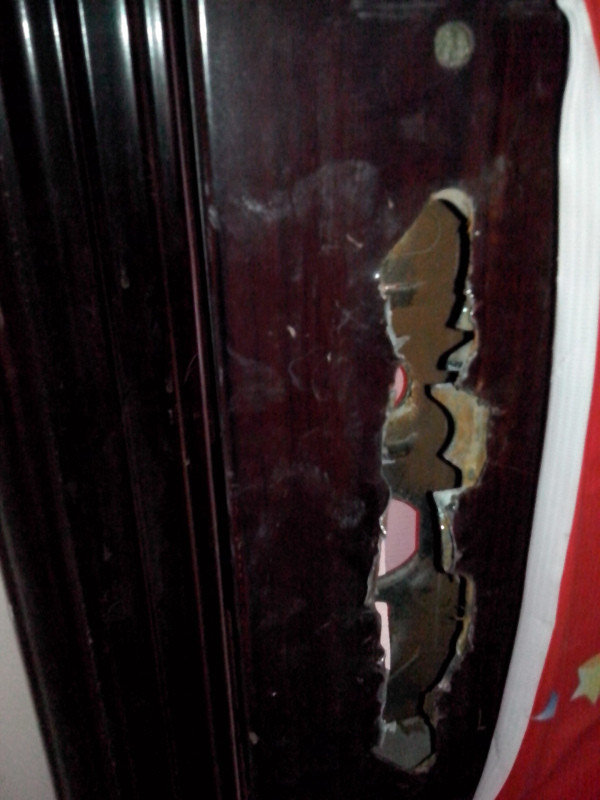 阳光龙庭一期进户指纹锁大批出现质量问题(报