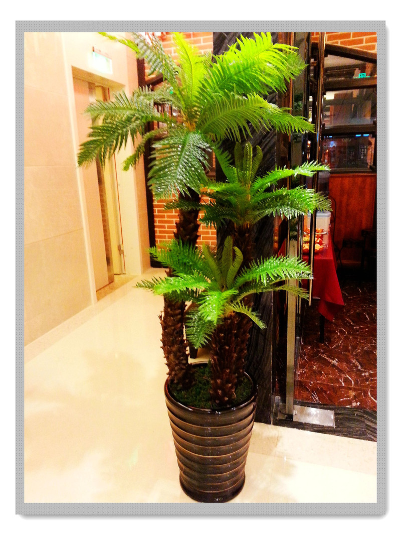 吃货冒着瓢泼大雨前往大渝川菜,更冒着打静脉