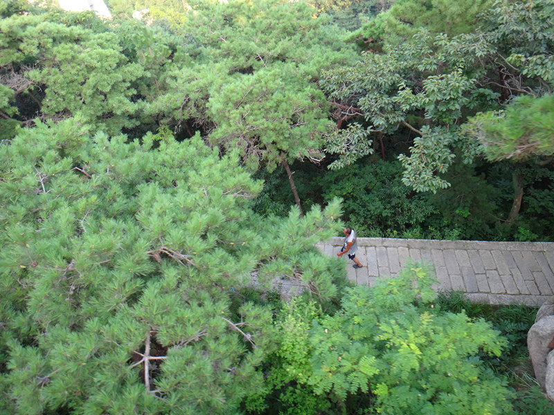 日照、青岛6天5夜自驾游之青岛篇,重要的不是