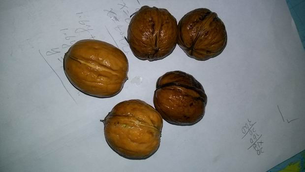 我敢说绝大部分常州人都没见过这玩意!亲戚到