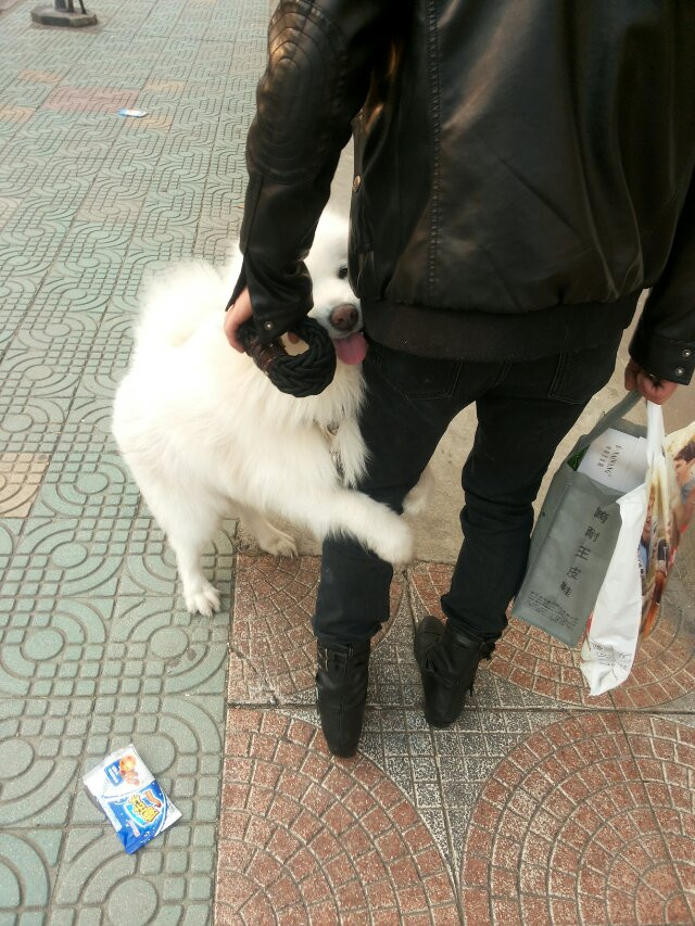 万能的化龙巷,请赐我一个儿媳妇吧。我家小萨