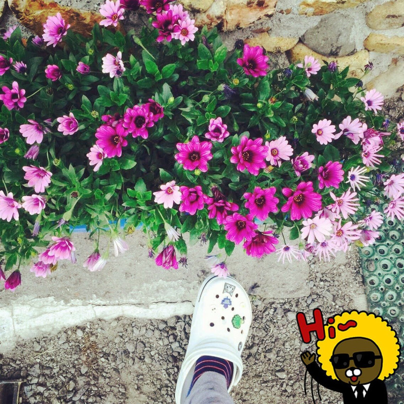 ★在韩常吃的☆『韩式炸酱面』 又一次丰盛的