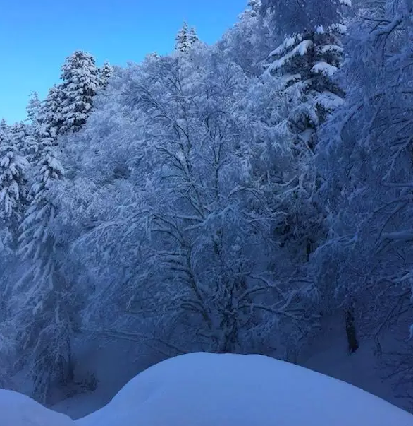 冬天去北海道,如何才能玩到精髓?浪漫的存在,