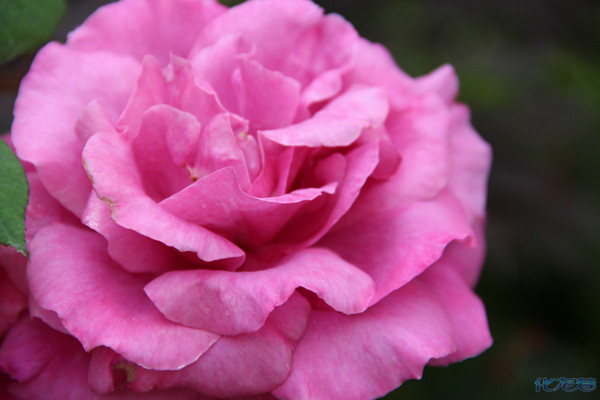 503_1323591_1c6bd00b5b60a6a1.jpg