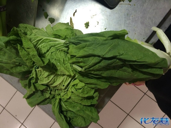 多图直播神实验【冻鱼复活】,这才是No zuo no