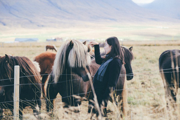 这是一篇冰岛游记\/攻略:北冥有鱼还有羊!这么近