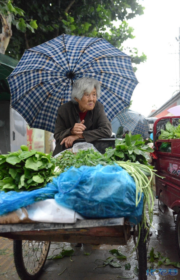 痛心!看完后这13张图片后再也不想去超市买菜了