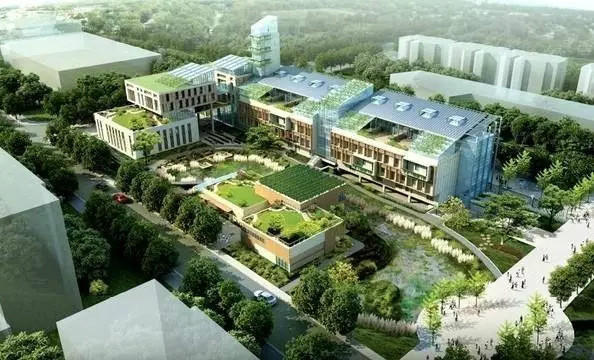 点击查看原图