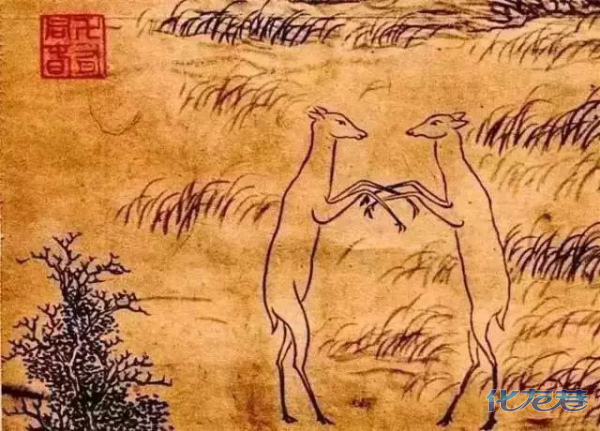 点击查看原图