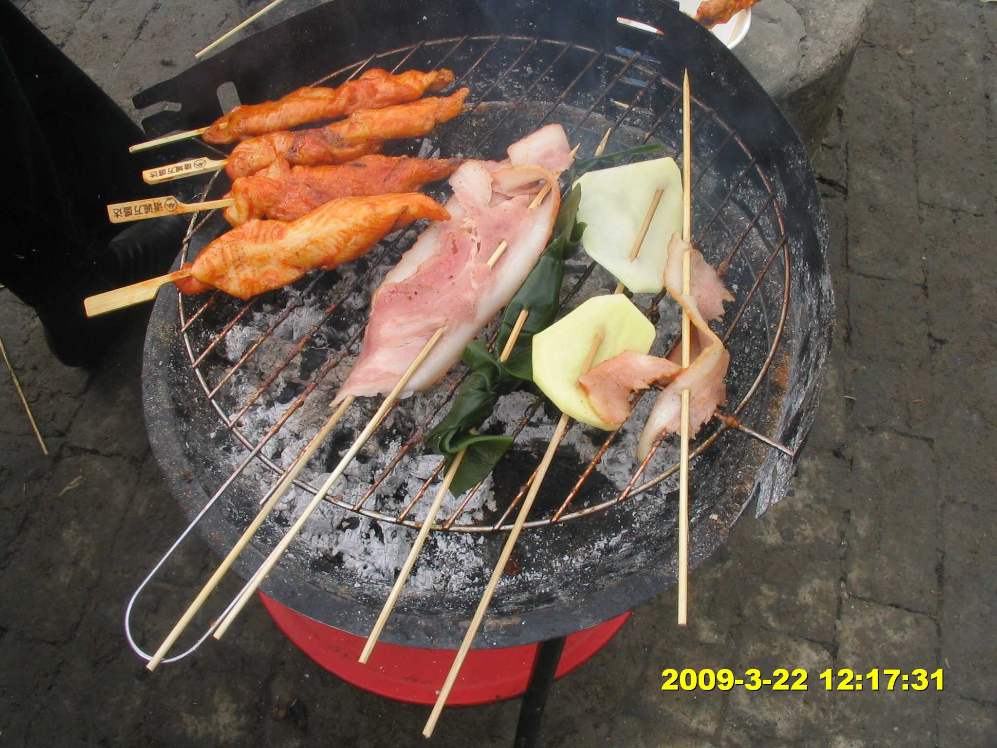 2009年3月22日淹城烧烤放风筝归来上图