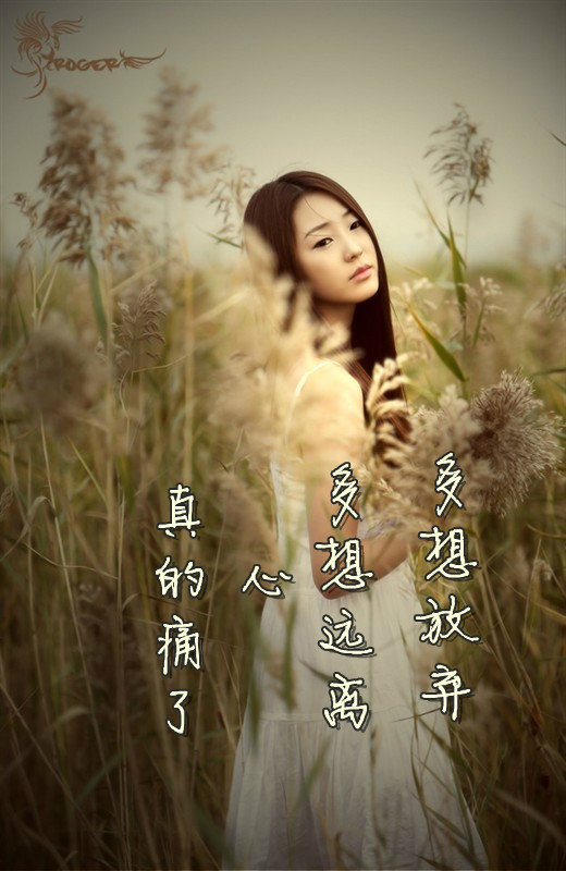 [打印本页] 登录 注册 回复主题 发表主题